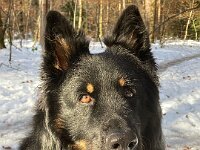 Ouray  Bes.: Brigitte Knubel und Christian Tschirky