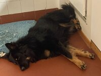 Ouray  Bes.: Brigitte Knubel und Christian Tschirky