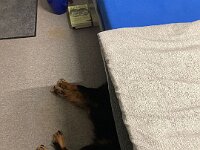 ourayWhatsApp Bild 2025-01-09 um 07.34.13 2c72961e  Bes.: Brigitte Knubel und Christian Tschirky