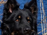 ourayWhatsApp Bild 2025-04-07 um 14.02.30 77a3c9e2  Bes.: Brigitte Knubel und Christian Tschirky