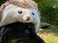 ourayWhatsApp Bild 2025-08-20 um 07.22.51 3e0f015c  Bes.: Brigitte Knubel und Christian Tschirky