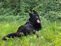 ourayWhatsApp Bild 2025-08-28 um 07.05.49 0511d2b4  Bes.: Brigitte Knubel und Christian Tschirky