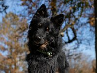 ourayWhatsApp Image 2025-10-29 at 06.34.29  Bes.: Brigitte Knubel und Christian Tschirky