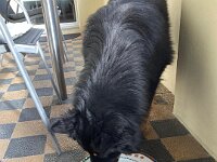 ourayWhatsApp Image 2025-11-15 at 13.52.09  Bes.: Brigitte Knubel und Christian Tschirky