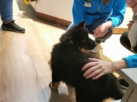 Ouray  Personal von der Arbeit abhalten