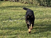 Ouray  Bes.: Brigitte Knubel und Christian Tschirky