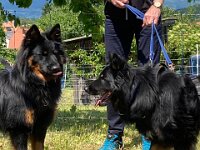 ourayrechtsWhatsApp Bild 2025-05-18 um 17.11.27 2441e791  Bes.: Brigitte Knubel und Christian Tschirky