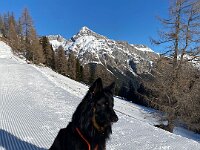 ZenoWhatsApp Bild 2024-01-22 um 13.01.38 272638f5