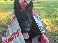 Peaches  Bes.: Yvi Schulze