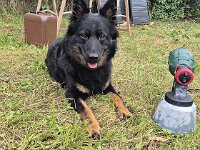 Peaches  Bes.: Yvi Schulze