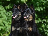 Peaches mit Mama Cainook  Bes.: Yvi Schulze