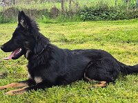 Peaches  Bes.: Yvi Schulze