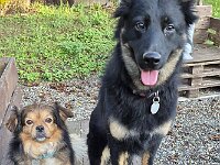 Keks und Peaches  Bes.: Yvi Schulze