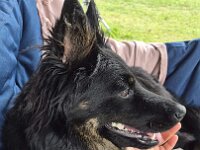 Peaches  Bes.: Yvi Schulze