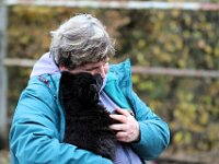 Pinu'u  7 Wochen alt, Prägung auf dem Bauernhof