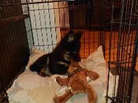 Pinu'u  Bes.: Silke Stech