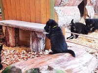 Pinu'u  Bes.: Silke Stech