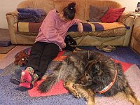 Pinu'u  Pinu'u mit Ronja und der Langhaarschäferhündin Shani