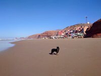 Pinu'u in Marokko  Silke Stech