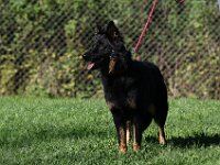 Pinu'u Ankörung  Silke Stech