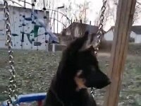 Pinu'u  Bes.: Silke Stech