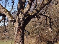 Pinu'u  Bes.: Silke Stech