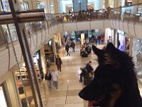 Pinu'u  Bes.: Silke Stech