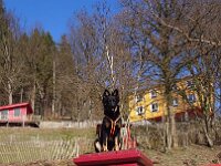 Pinu'u  Bes.: Silke Stech