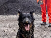 Pinu'u  Bes.: Silke Stech