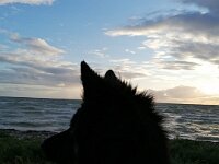 Pinu'u  Bes.: Silke Stech