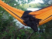 Pinu'u  Bes.: Silke Stech