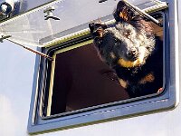 Pinu'u  Bes.: Silke Stech