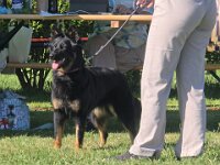 Pinu'u Ausstellung  Silke Stech