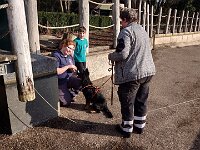 Gefunden!  Bes.: Silke Stech