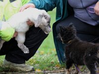 Pinu'u  7 Wochen alt, Prägung auf dem Bauernhof