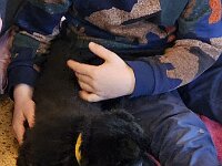 Pinu'u  5 Wochen alt, Prägung im Kindergarten
