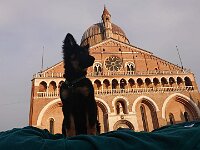 Pinu'u  Pinu'u in Padua