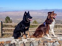 Pinu'u und Aussie Ty  Bes.: Silke Stech