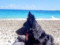 Pinu'u  Silke Stech