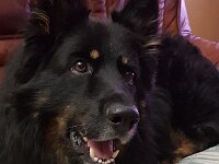 Papa Andy  Bes.: Petr Matlak, CZ