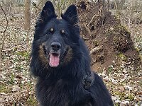 Andy Vias Rigici  Bes.: Petr Matlak, CZ