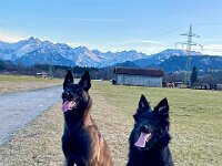 Delija und Raven