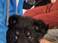 6 Wochen alt  Besuch im Pflegeheim