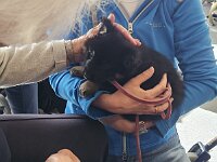 6 Wochen alt  Besuch im Pflegeheim