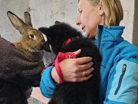 7,5 Wochen  Besuch auf dem Bauernhof