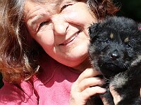 5,5 Wochen alt  Gabi und ihr Qemal