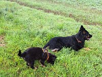 Qemal und Onyx  Bes.: Gabi Frei