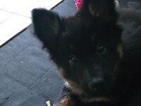 Tayah  Bes.: Susi Seiz