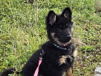 Tayah  Bes.: Susi Seiz