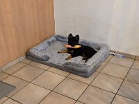 Tayah  Bes.: Susi Seiz